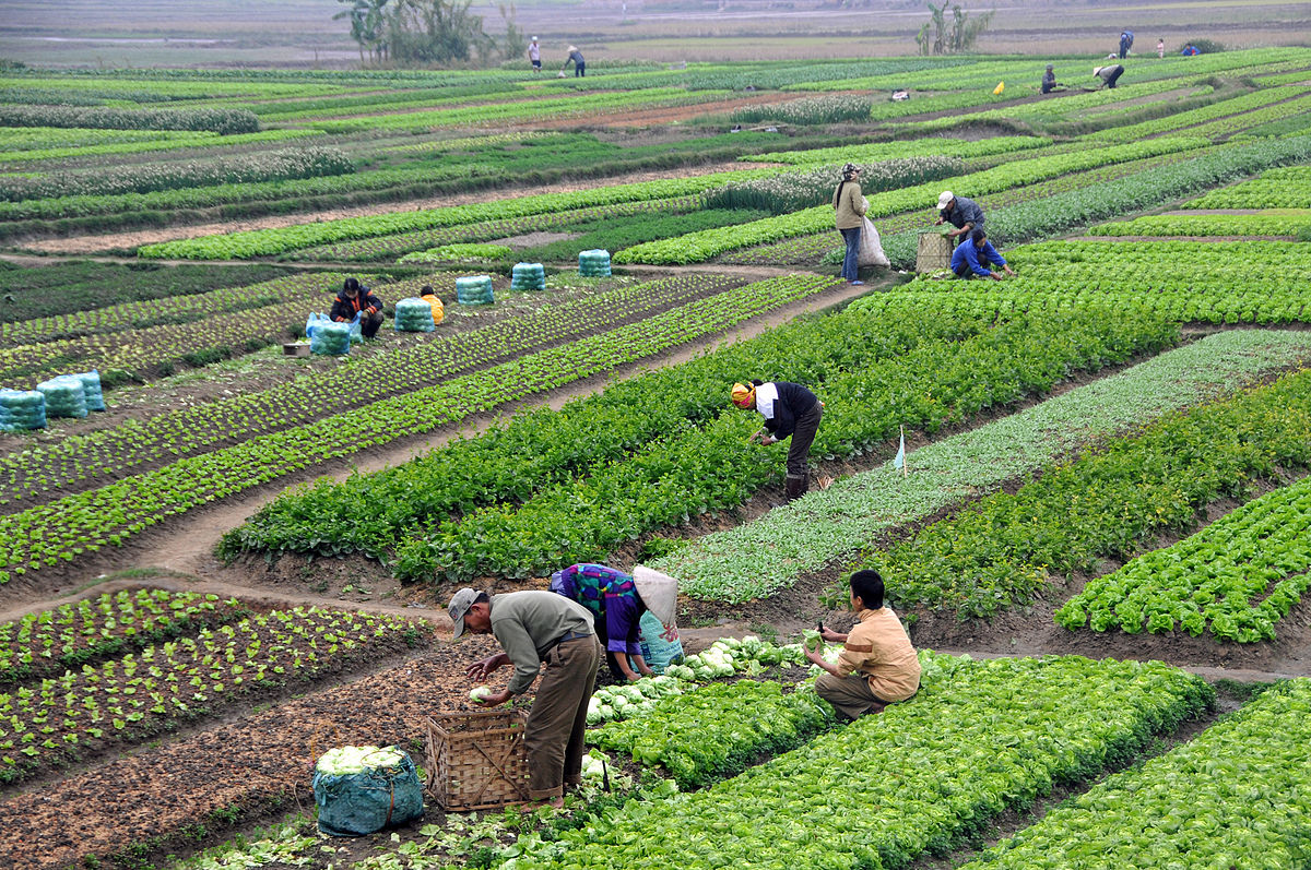 कृषि बीमाका लागि बीमा कम्पनीहरुलाई जिल्ला तोकियो, कुन जिल्लामा कुन बीमा कम्पनी ?