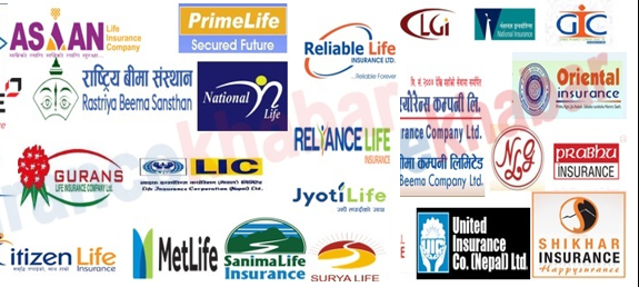 एभरेष्ट र नेपाल इन्स्योरेन्सका शेयरधनी बाहेक सबैले गुमाए, किन घट्यो बीमा कम्पनीको शेयर ?