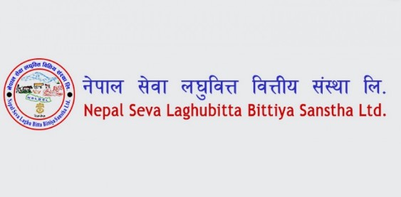नेपाल सेवा लघुवित्तको सीईओमा शाक्य नियुक्त