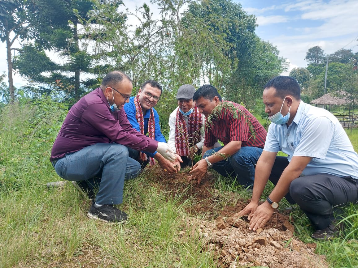 जनउत्थान सामुदायिक लघुवित्तद्धारा वृक्षा रोपण कार्यक्रम सम्पन्न