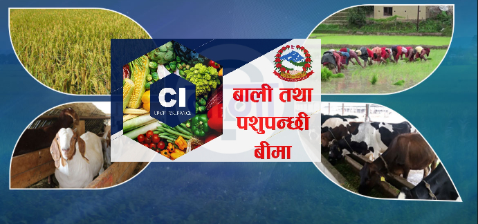 कृषि तथा पशुपन्छी बीमाको लागि नेपाल सरकारले दियो एक अर्ब २५ करोड रुपैयाँ अनुदान