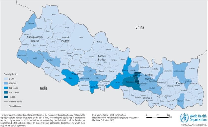 डेंगीको संक्रमणबाट १० महिनामा ८ जनाको मृत्यु, १७ हजारभन्दा बढी संक्रमित