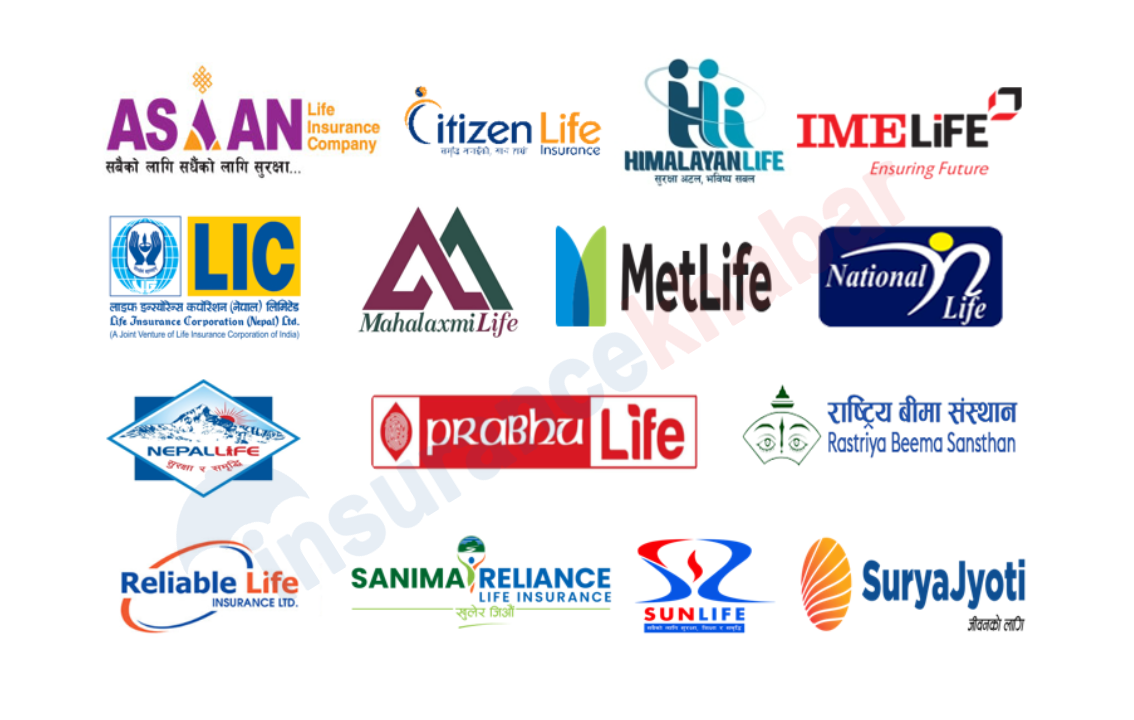 तीन जीवन बीमा कम्पनी : व्यवसाय वृद्धिमा नेशनल लाइफ अघि, नेपाल लाइफ र एलआईसी नेपाल सुस्तायो